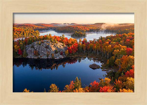 Autumn Serenity In Algonquin Park