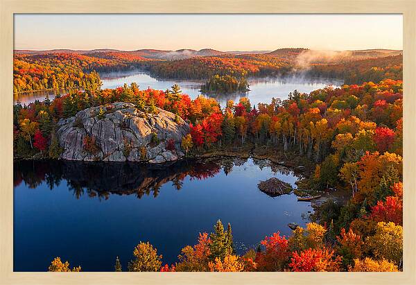 Autumn Serenity In Algonquin Park