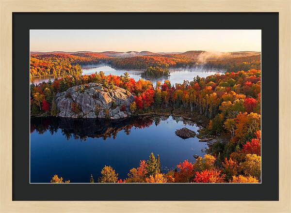 Autumn Serenity In Algonquin Park