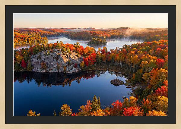 Autumn Serenity In Algonquin Park