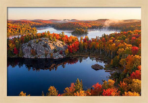Autumn Serenity In Algonquin Park