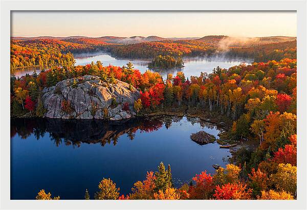 Autumn Serenity In Algonquin Park