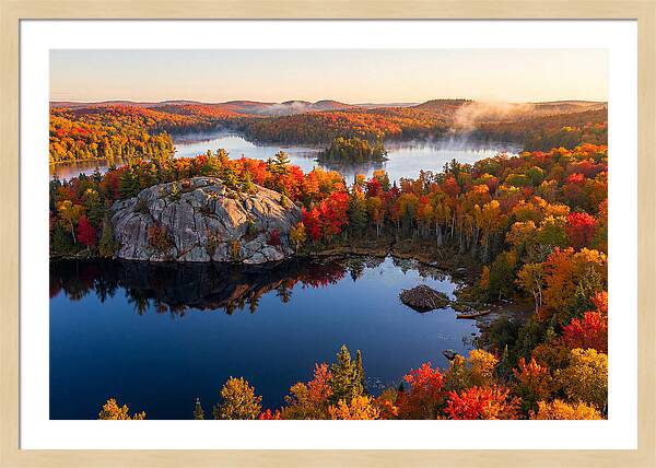 Autumn Serenity In Algonquin Park