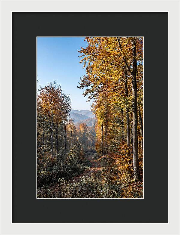 Autumn Serenity In Golden Hues