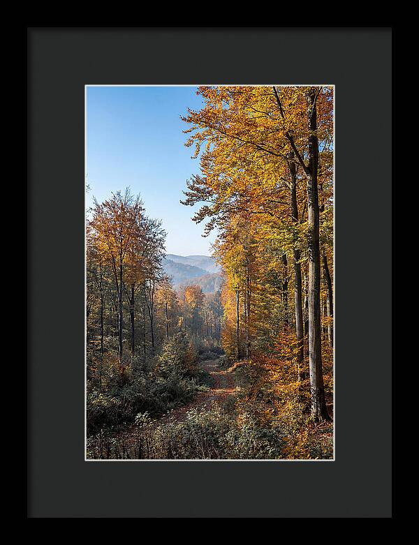 Autumn Serenity In Golden Hues