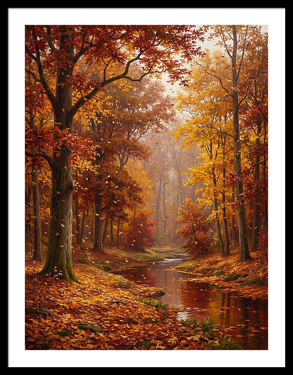 Autumn Serenity In The Forest