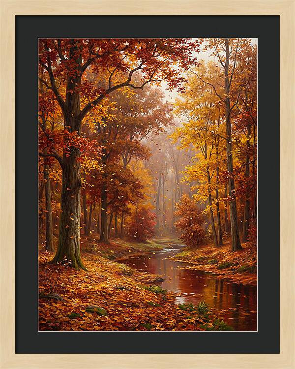 Autumn Serenity In The Forest