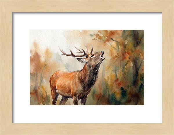 Autumn Serenity With Sika Deer