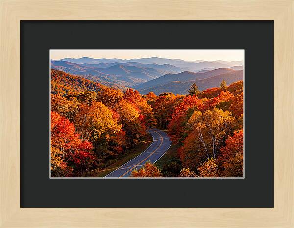 Autumn Splendor Along Blue Ridge Parkway
