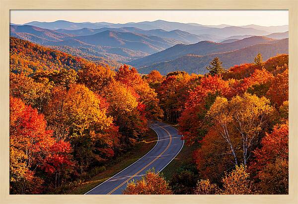 Autumn Splendor Along Blue Ridge Parkway