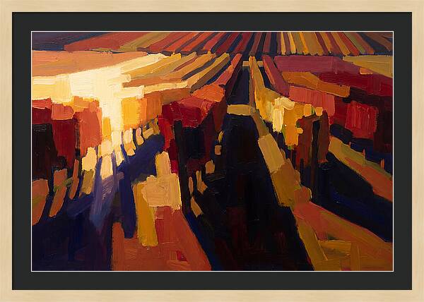 Autumn Vineyard Serenity