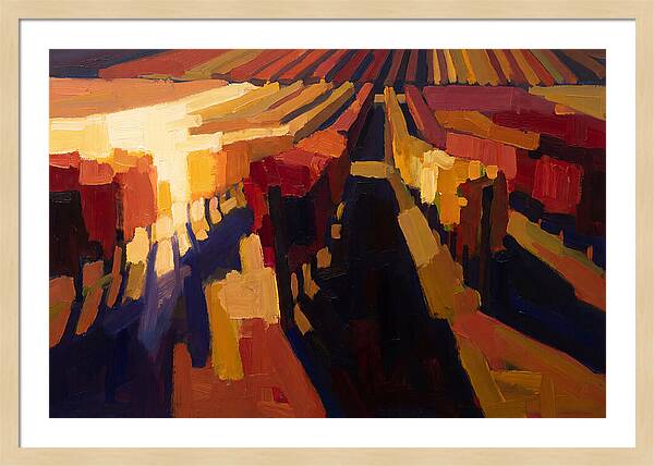 Autumn Vineyard Serenity