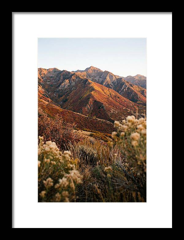 Autumn Warmth In Shenandoah