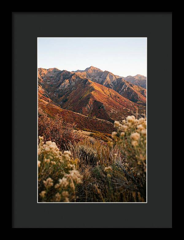 Autumn Warmth In Shenandoah