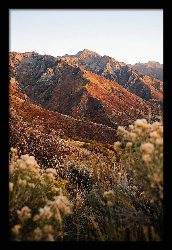 Autumn Warmth In Shenandoah