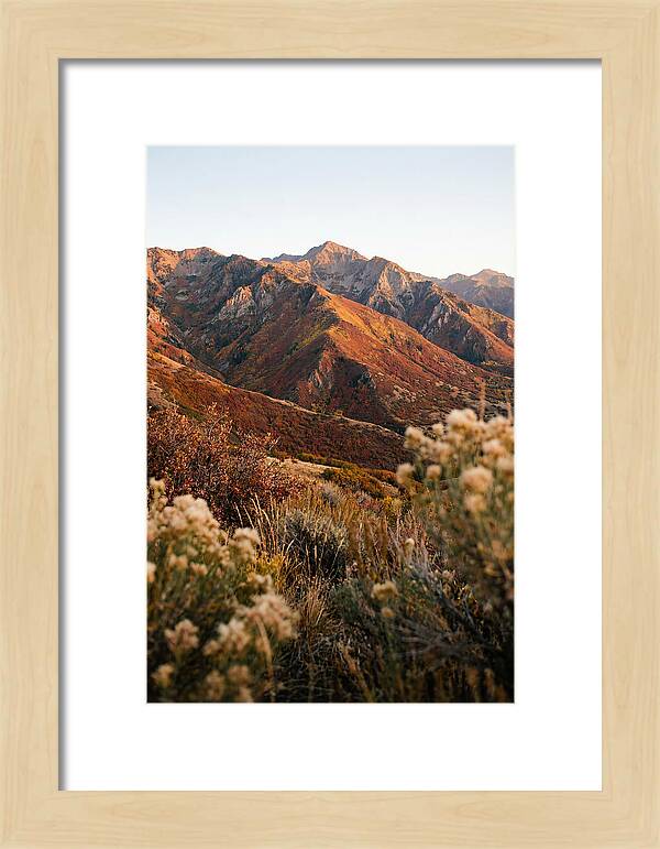 Autumn Warmth In Shenandoah