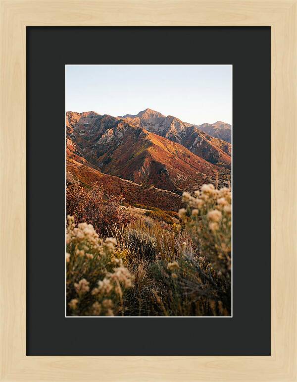 Autumn Warmth In Shenandoah