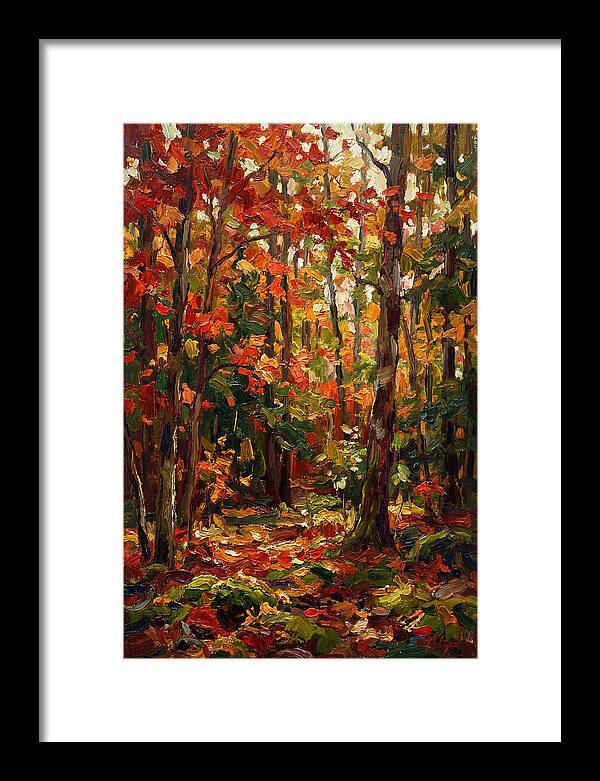 Autumns Embrace In The Woods