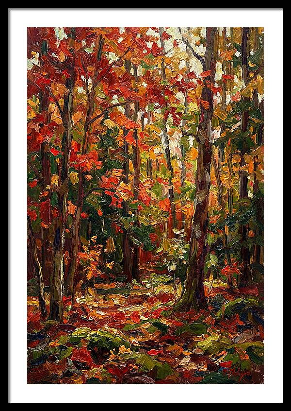 Autumns Embrace In The Woods