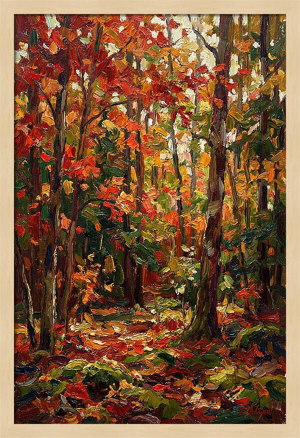 Autumns Embrace In The Woods