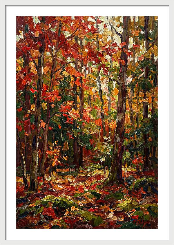 Autumns Embrace In The Woods