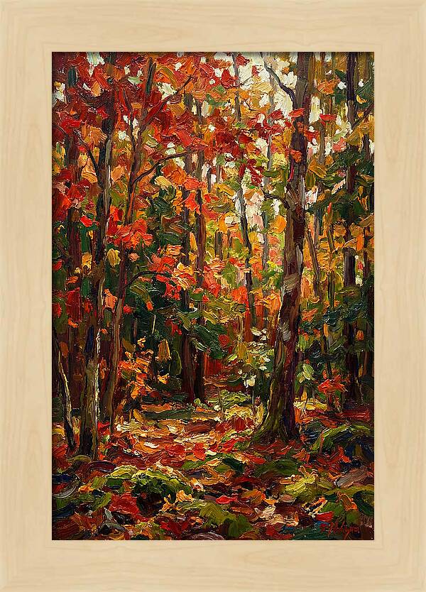 Autumns Embrace In The Woods