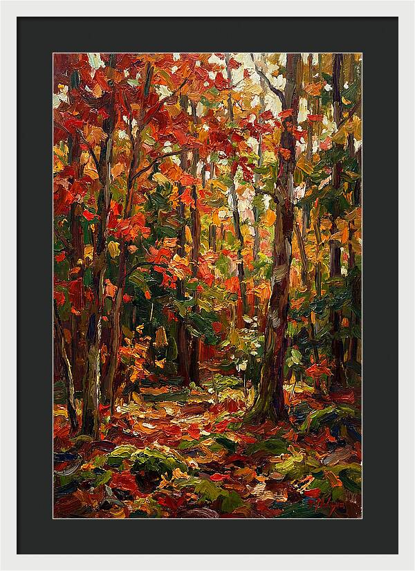 Autumns Embrace In The Woods