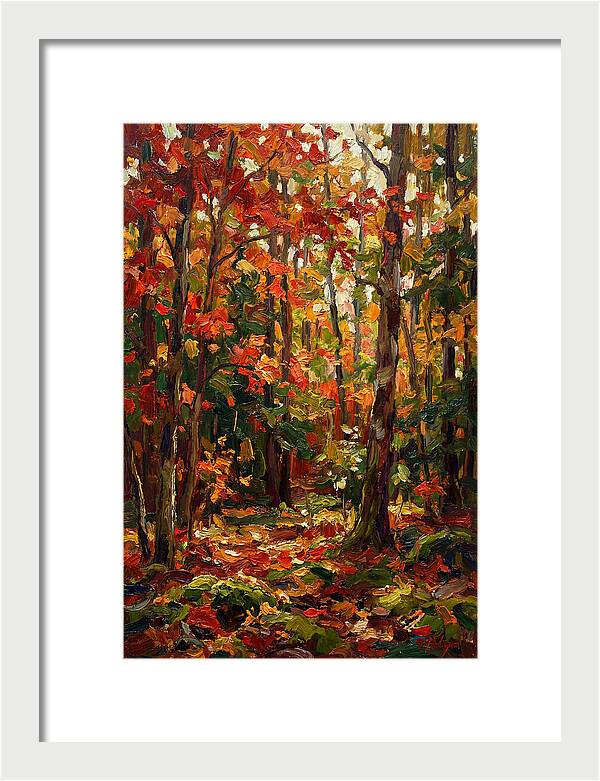 Autumns Embrace In The Woods