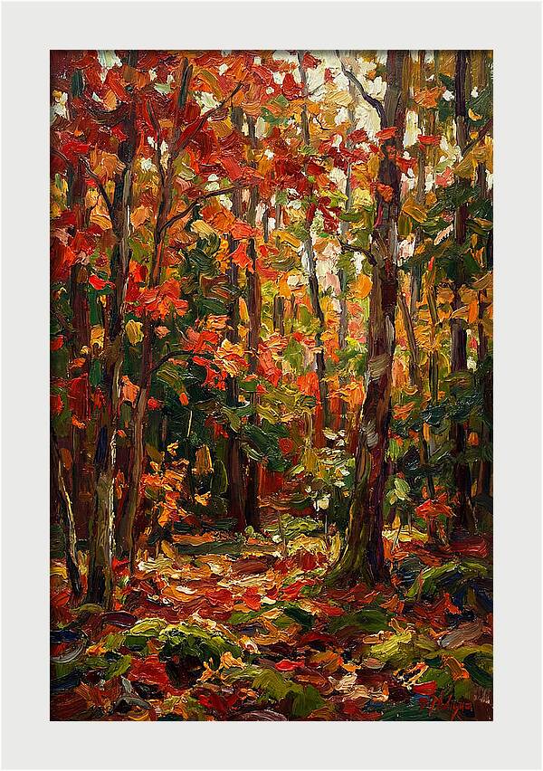 Autumns Embrace In The Woods
