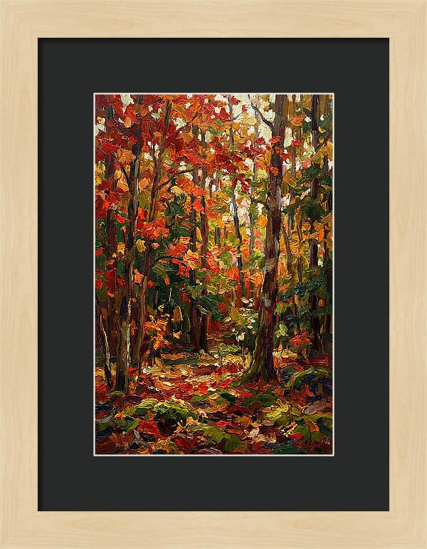 Autumns Embrace In The Woods