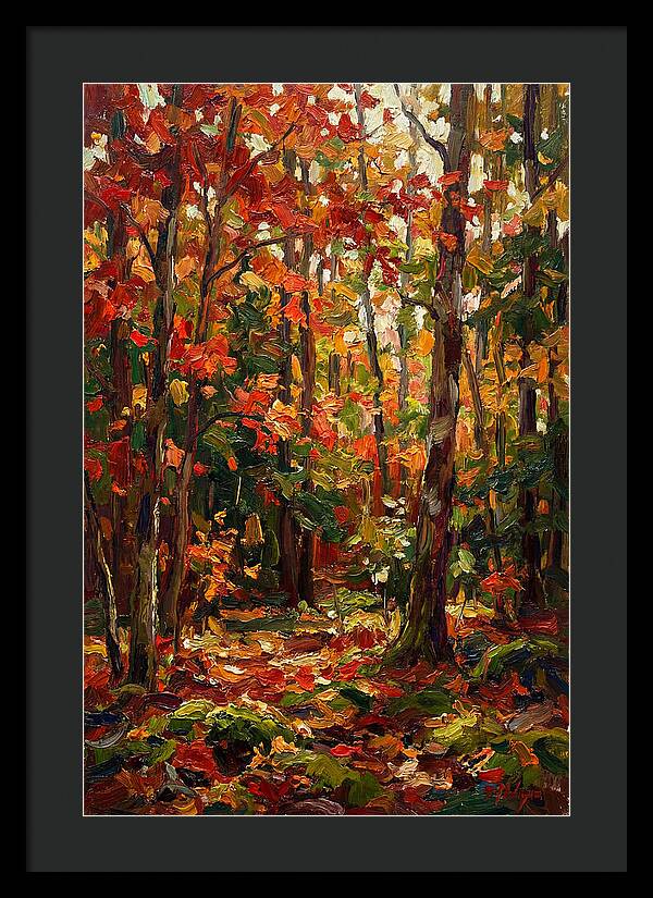 Autumns Embrace In The Woods