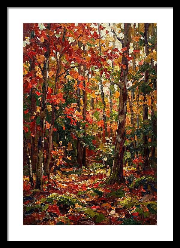 Autumns Embrace In The Woods