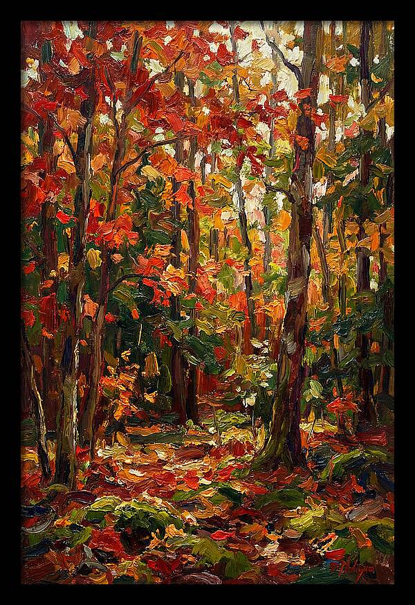 Autumns Embrace In The Woods