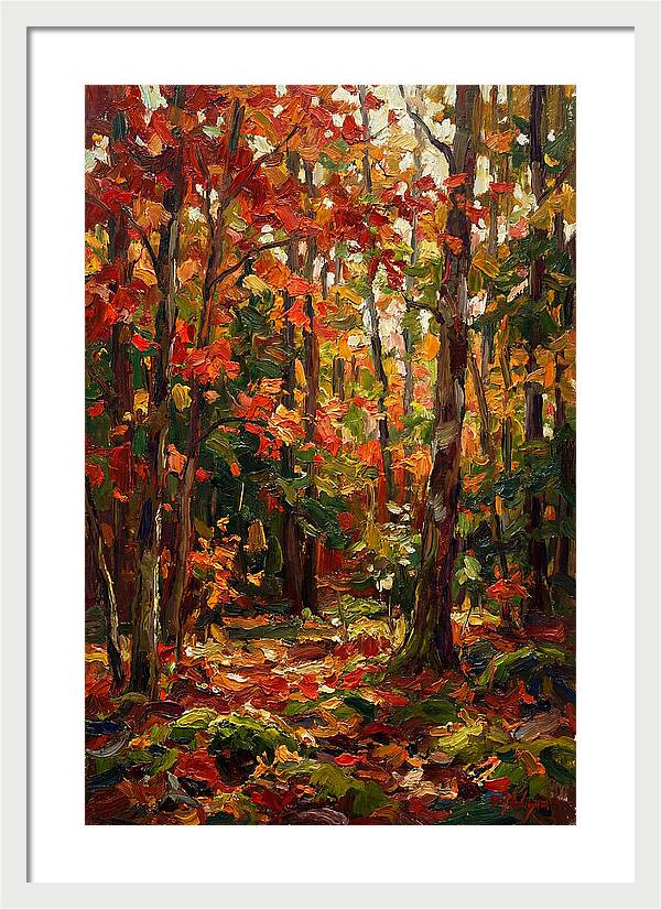 Autumns Embrace In The Woods