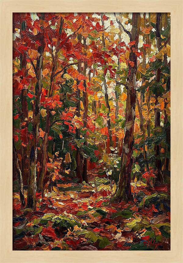 Autumns Embrace In The Woods