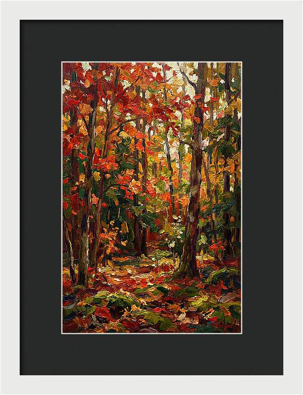 Autumns Embrace In The Woods