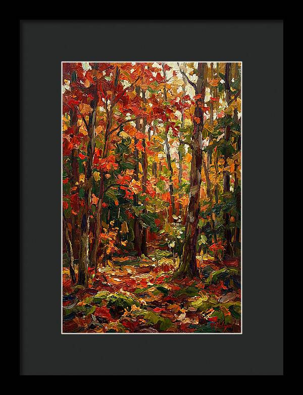 Autumns Embrace In The Woods