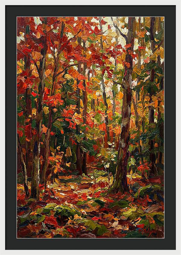 Autumns Embrace In The Woods