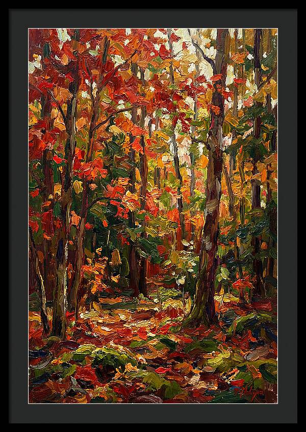 Autumns Embrace In The Woods