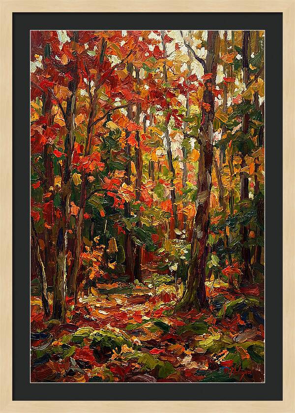 Autumns Embrace In The Woods