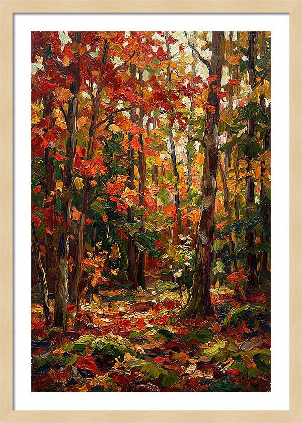 Autumns Embrace In The Woods