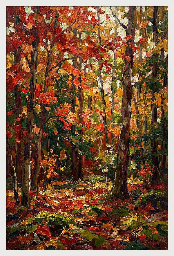 Autumns Embrace In The Woods