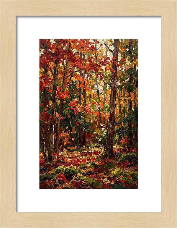 Autumns Embrace In The Woods