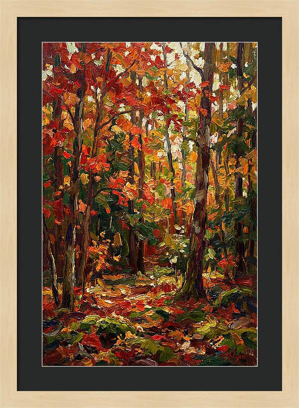 Autumns Embrace In The Woods