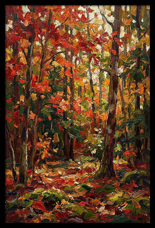 Autumns Embrace In The Woods