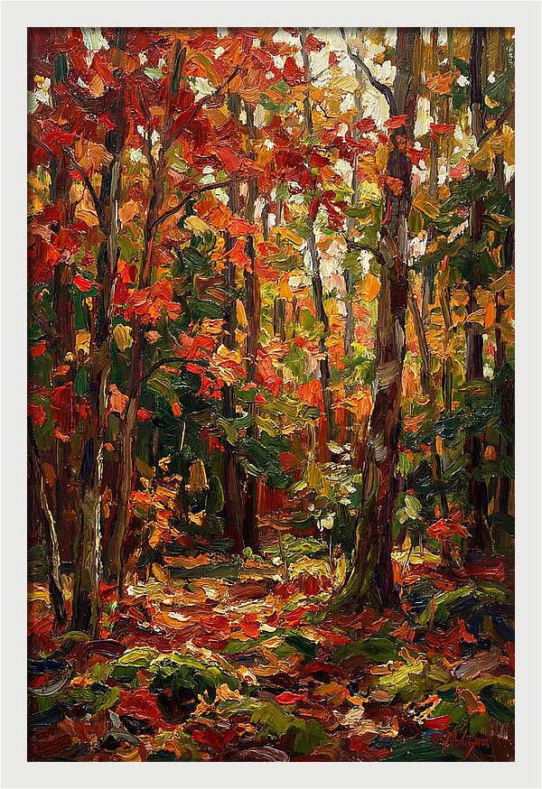 Autumns Embrace In The Woods