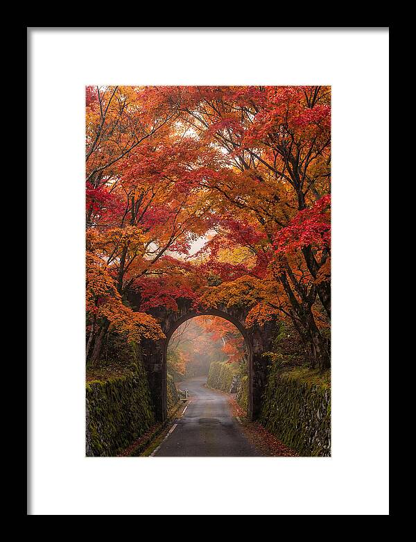 Autumns Golden Canopy