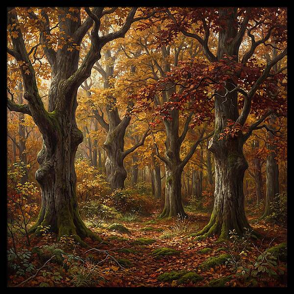 Autumns Tranquil Embrace