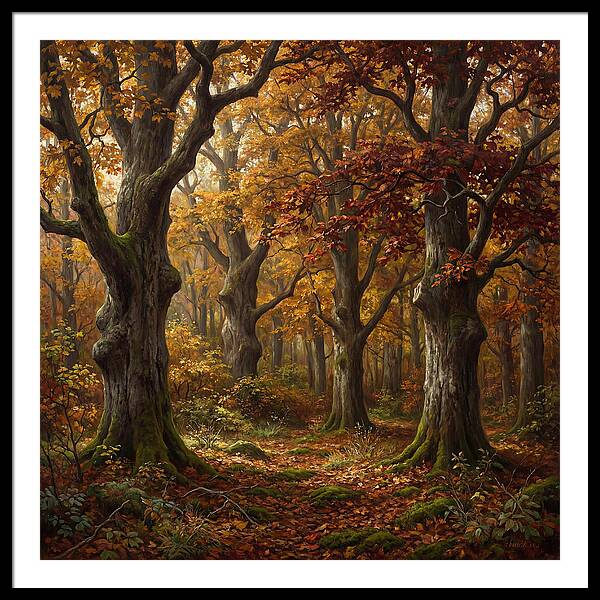 Autumns Tranquil Embrace