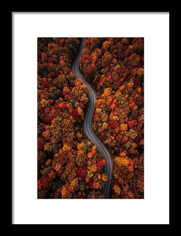 Autumns Vibrant Pathways